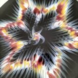 5 plates with stylized star pattern