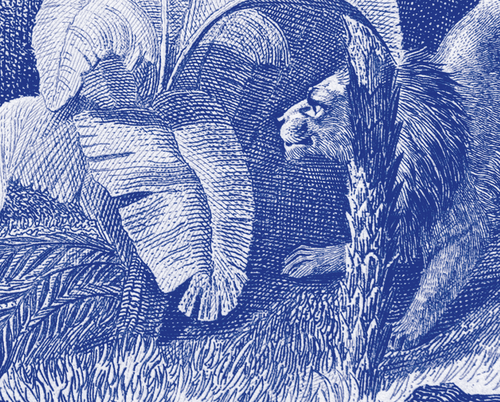 Lithography engraving vintage Buffon giraffe - A3 format