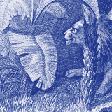 Lithography engraving vintage Buffon giraffe - A3 format