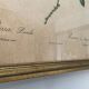 Vintage frame botanical illustration "Rosier d'amour" by Redouté