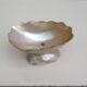 Antique ring sizer – Empty pocket – Mother-of-pearl, early 20th century