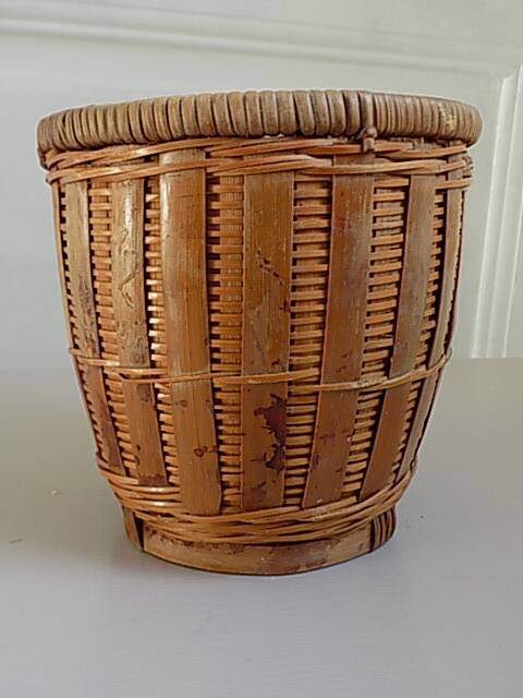 Small rattan plant pot