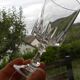 Set of 6 crystal water glasses from arques. louvre model.