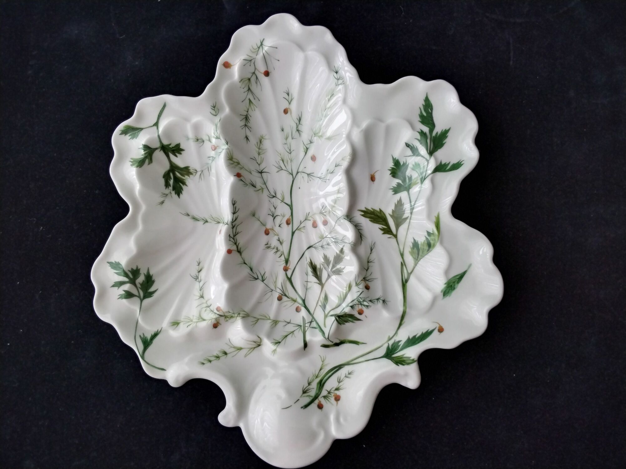 Compartmented bowl in Limoges porcelain. Aromatic plant decor