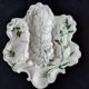 Compartmented bowl in Limoges porcelain. Aromatic plant decor