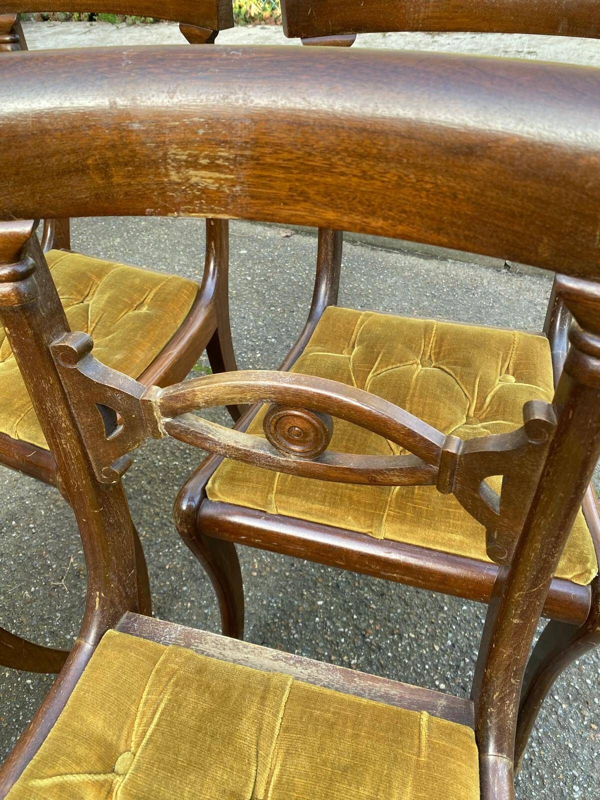 4 Regency chairs in solid wood and mustard yellow velvet fabric from the 19th century.