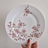 Dessert plates Hache Julien & Cie Vierzon