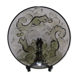 Dish