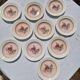 10 Vintage Villeroy & Boch Soup Plates Model 1584