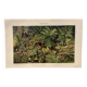 Small Engraving from 1909 - The forest and its soil - Old German plate - Chromolithograph