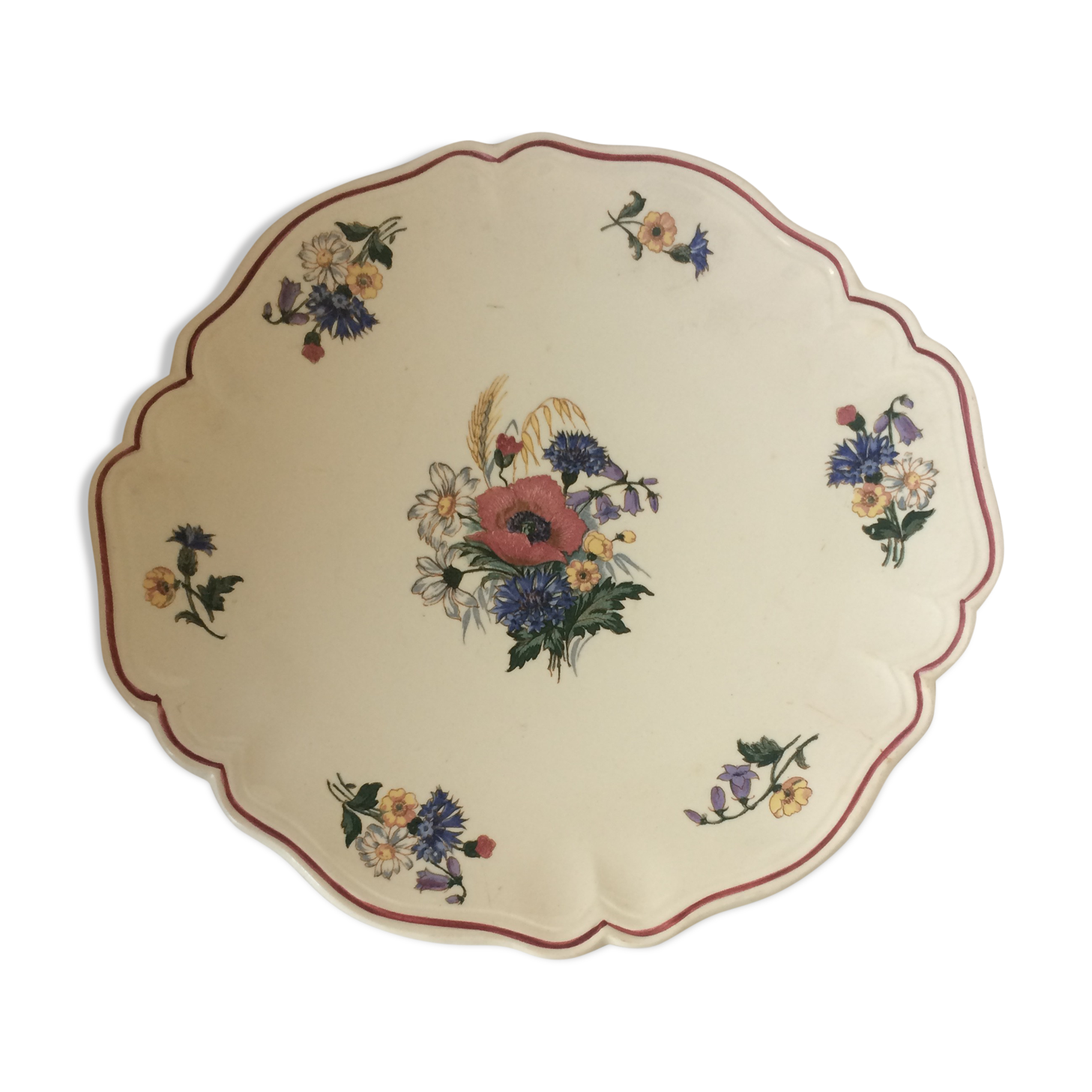 Service dish Agreste Sarreguemines