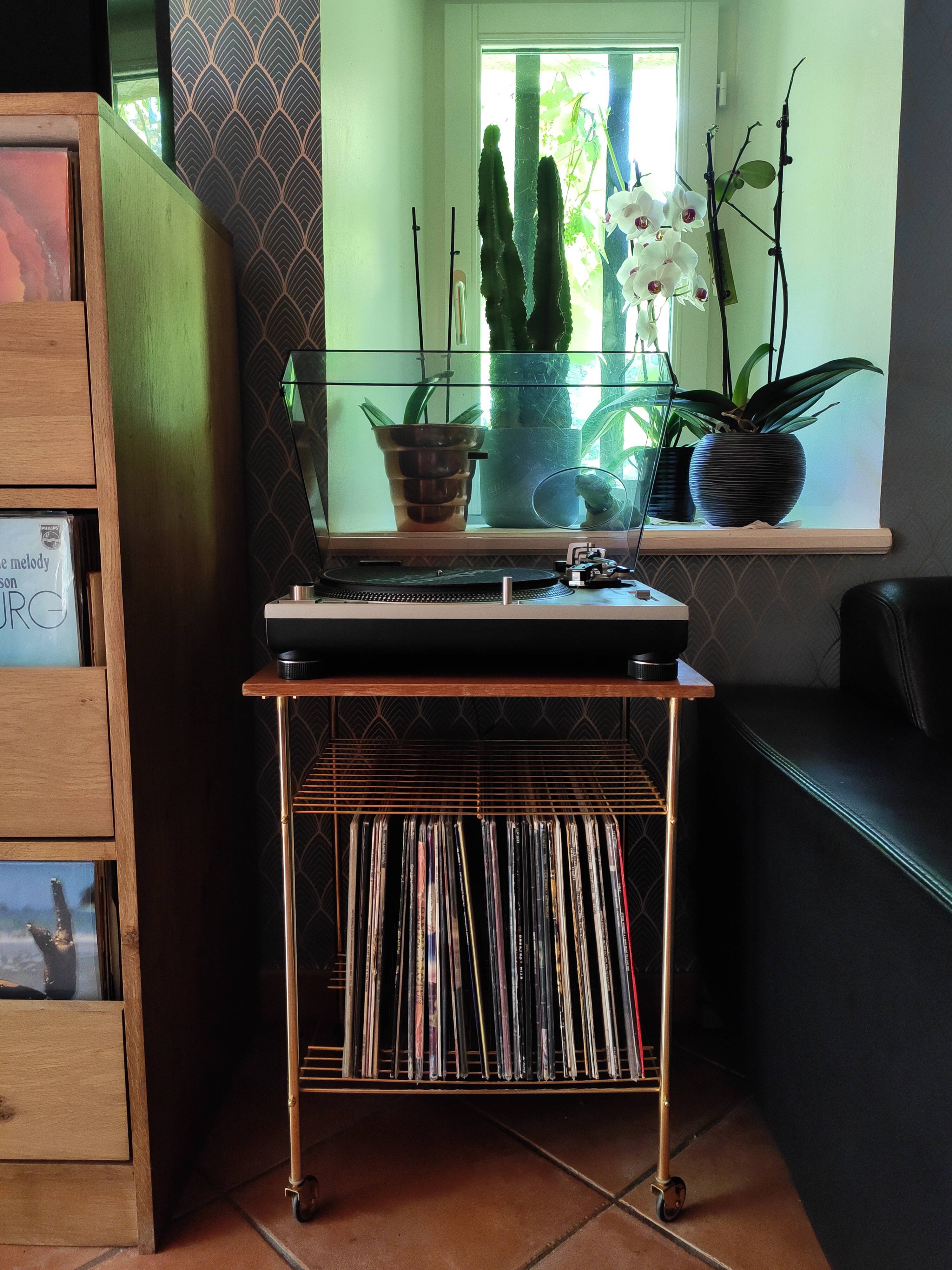Vinyl furniture wood and brass on wheels
