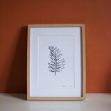 “La rameau” screen print in limited edition