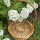 Serviteur / porte bouteilles en rotin naturel