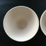 Pair of large bowls