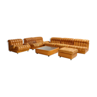 Ensemble de canapés modulaires en cuir