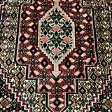 Iranian carpet