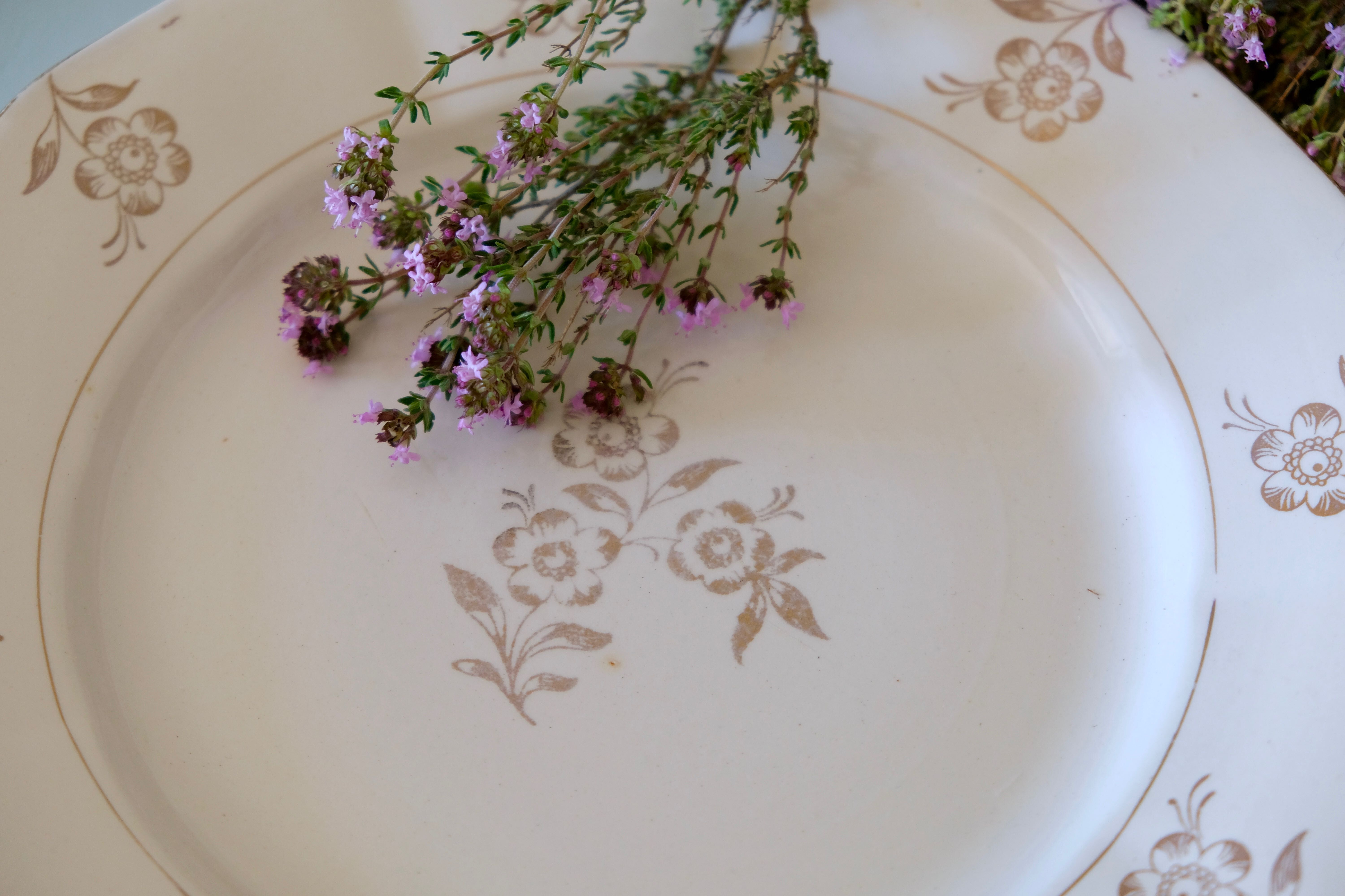 Set of opaque porcelain plates 'Raphael' from the French manufacturer Digoin-Sarreguemines