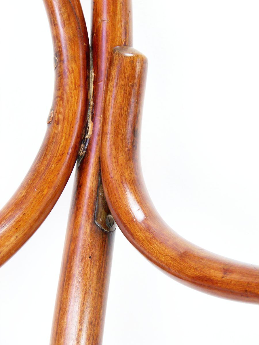 Viennese armchair Nr. 10 by Michael Thonet 1870