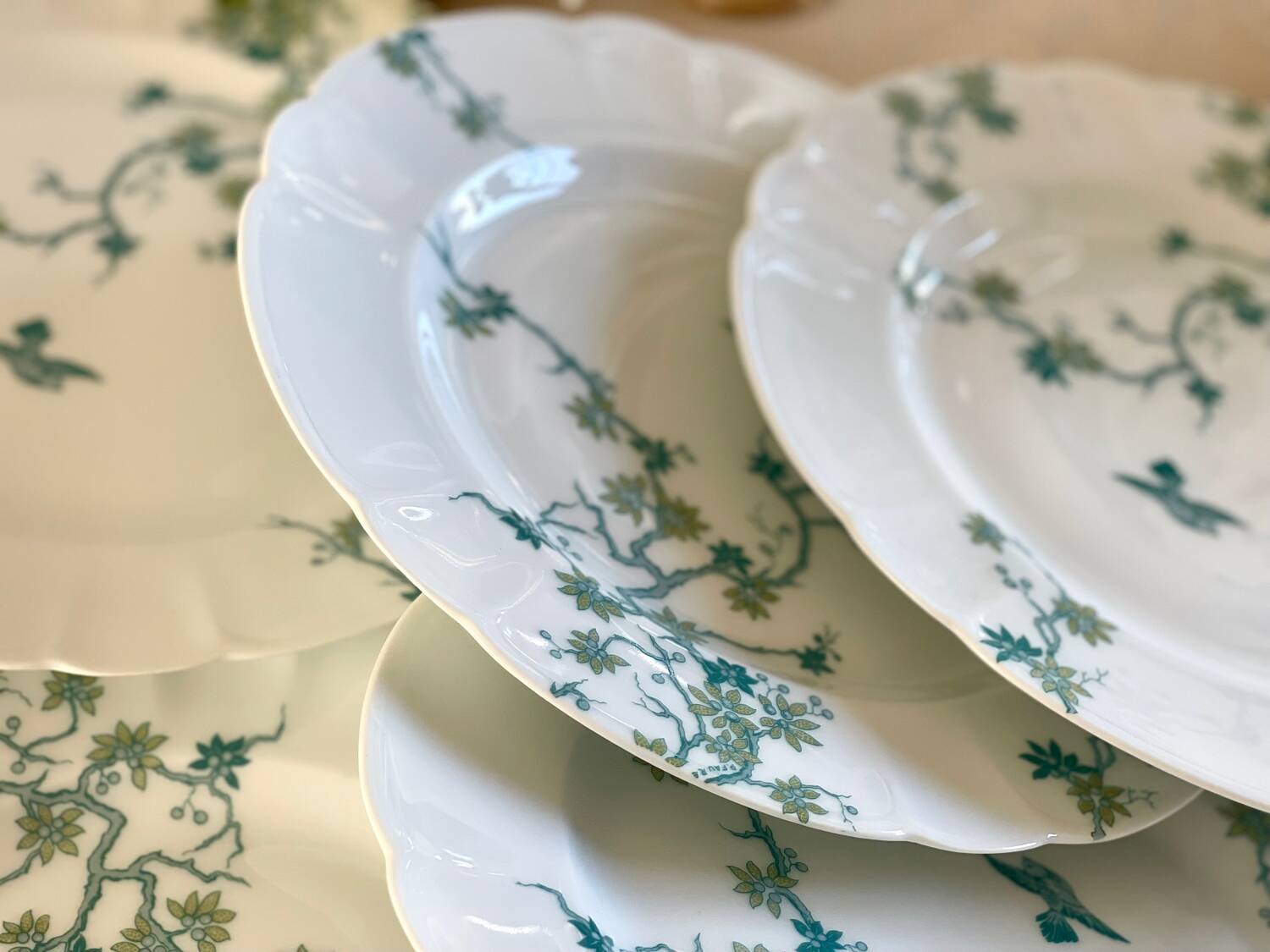8 Haviland Limoges dinner plates.