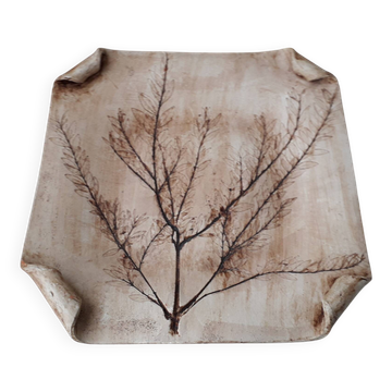 Herbaceous fruit bowl