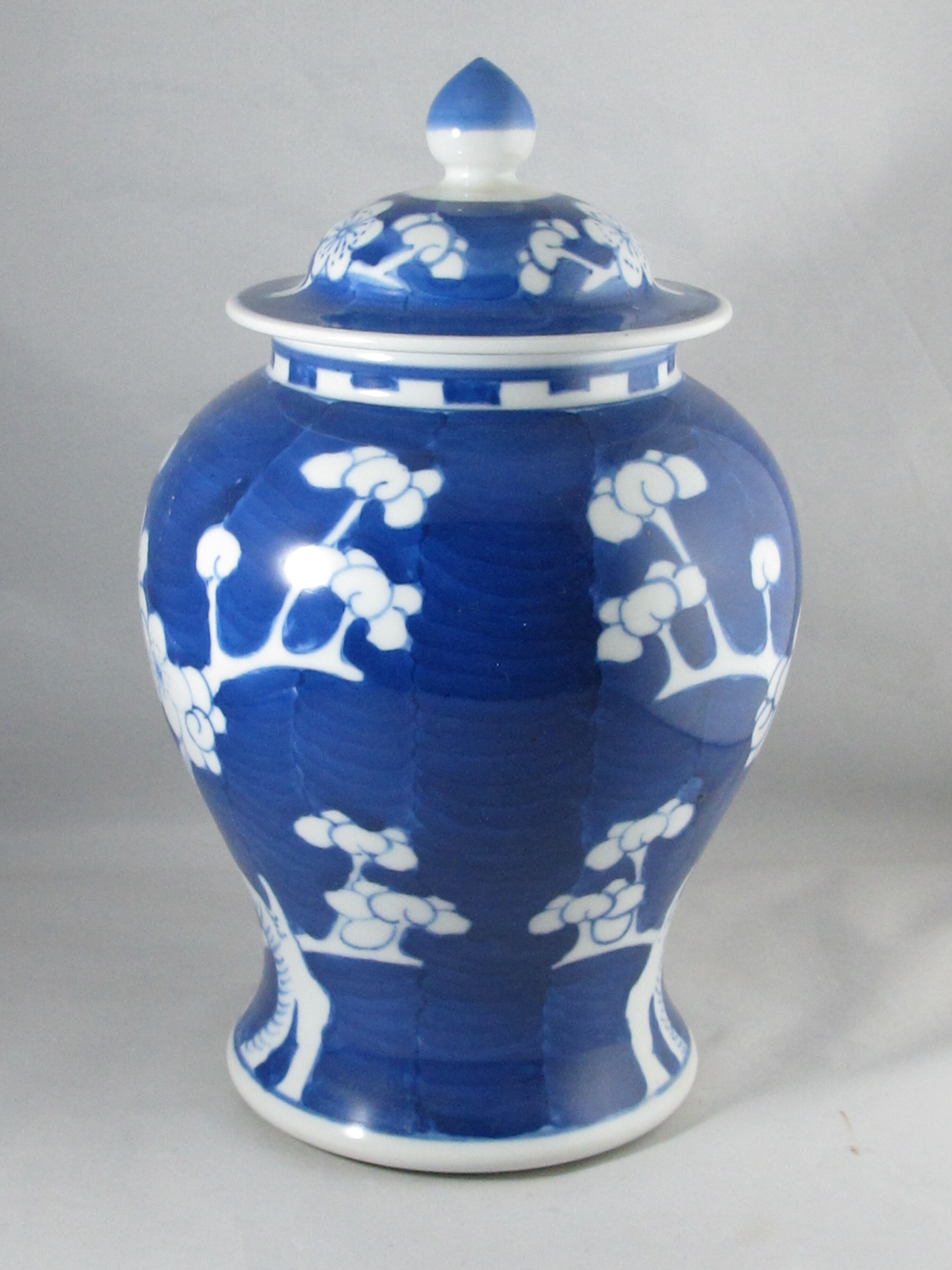 Chinese potiche blue white China