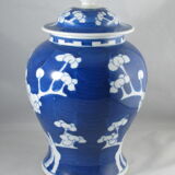 Chinese potiche blue white China
