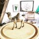 Golden brass camel