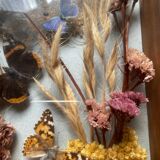 Vintage frame with butterflies and dried flowers