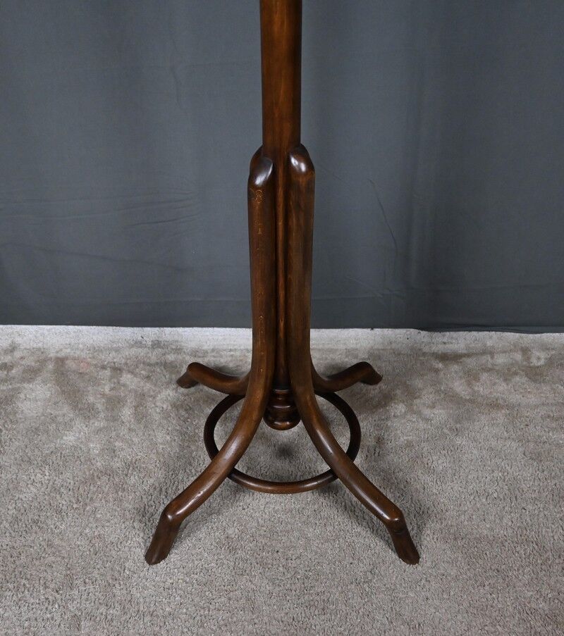 Beech coat rack parrot – early 20th century
