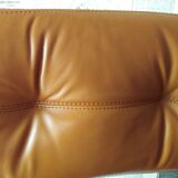 Deux chaises, roche bobois, années 70