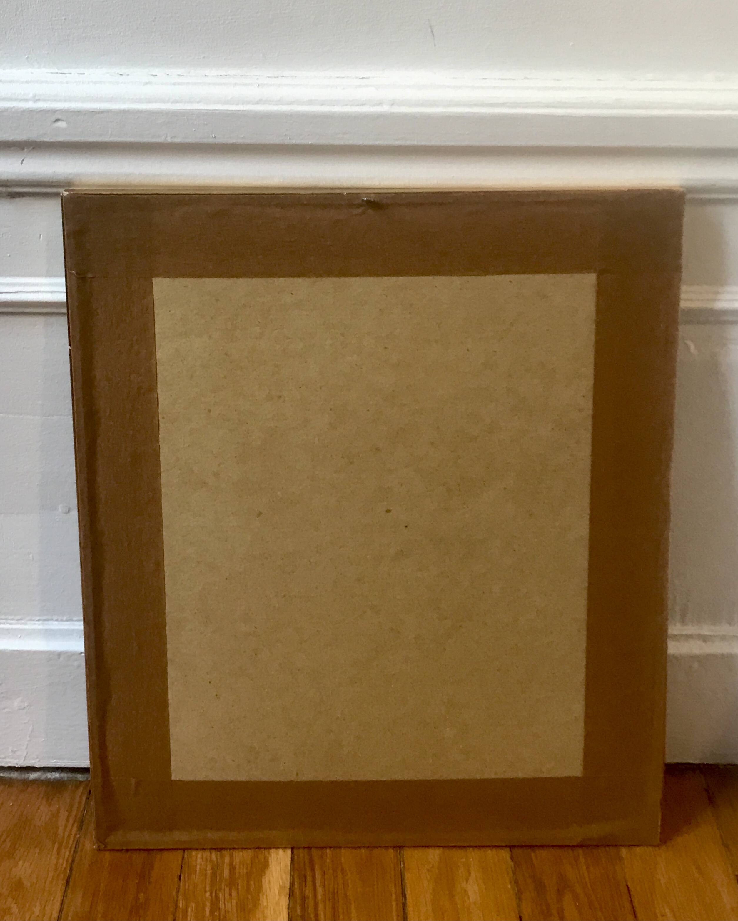 Framed illustration corals under globe