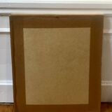 Framed illustration corals under globe