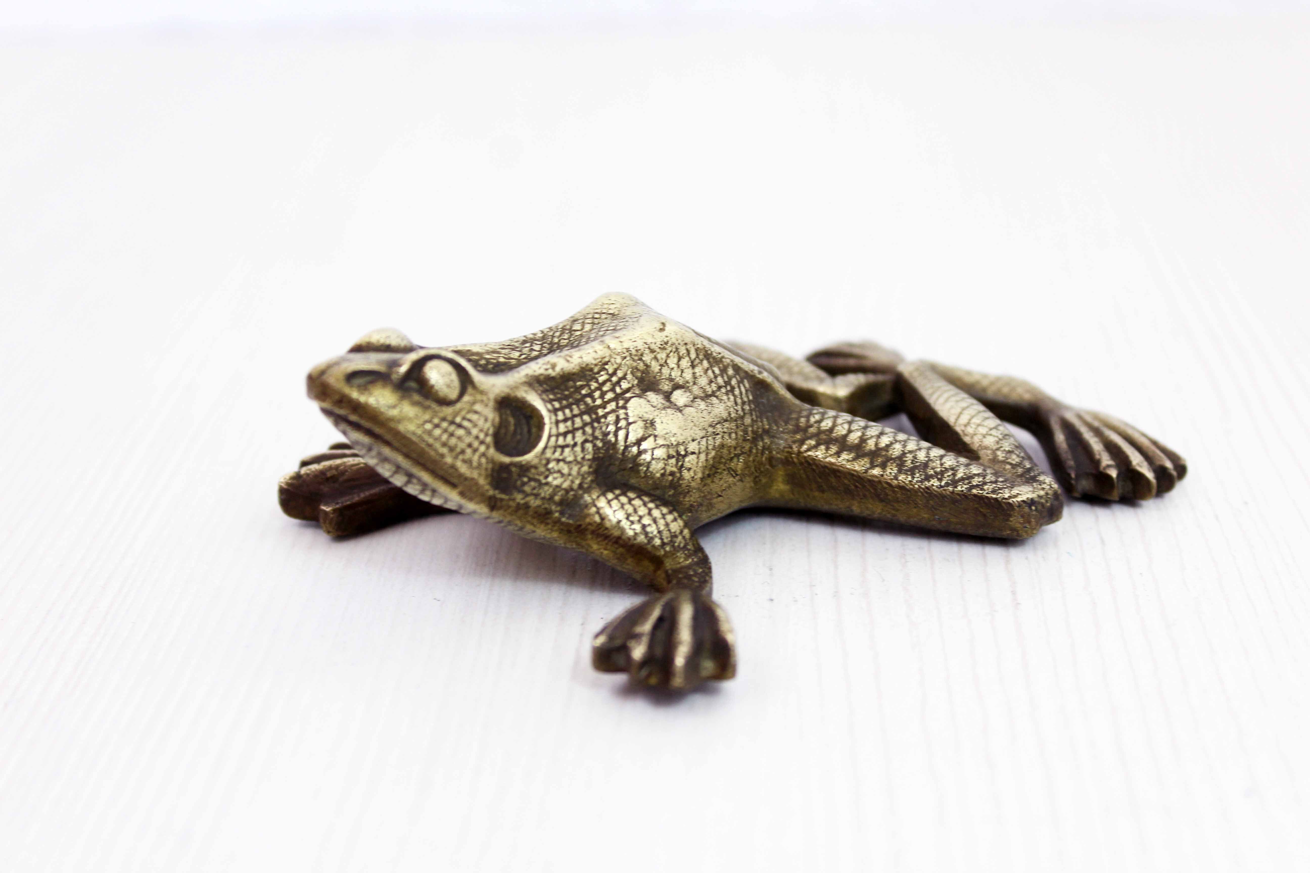 Bronze frog 50s