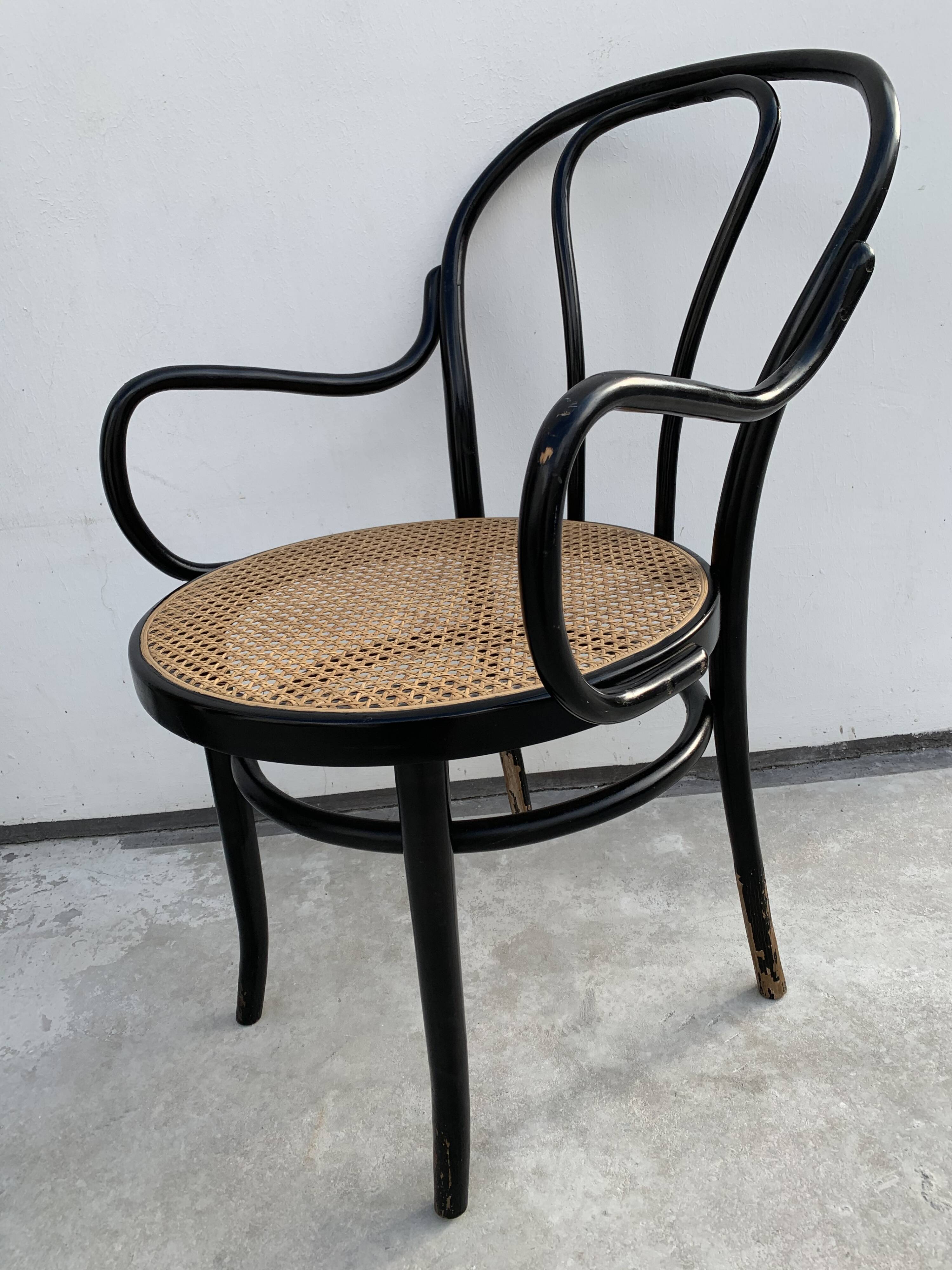 Tuna chair model 1018 in black curved wood and canning 1930