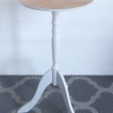Pedestal table / plant holder