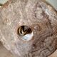 Old large onyx marble stone lamp foot