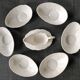 6 coupelles et 1 saucière modèle Countryware Bone China