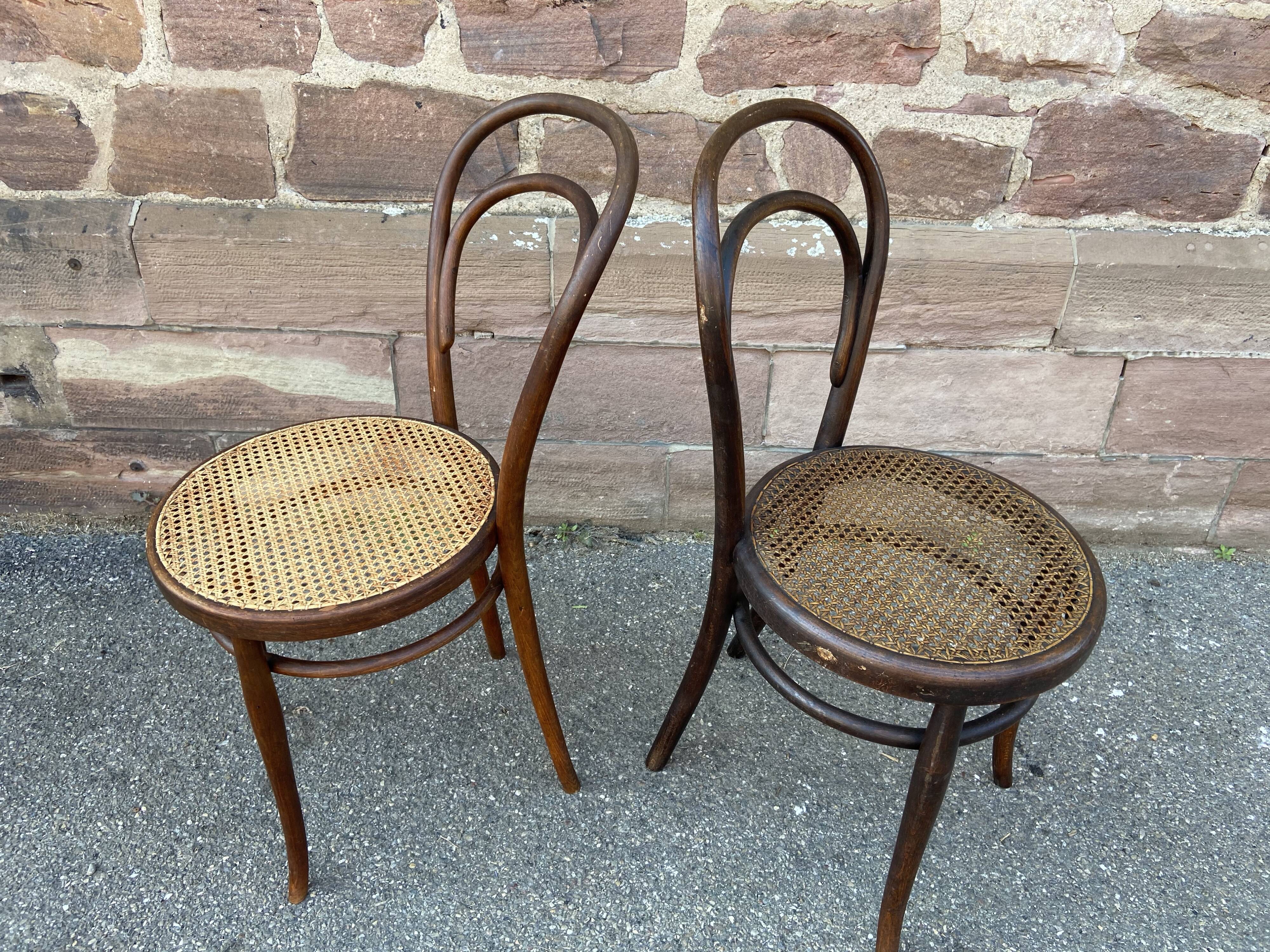Pair of chairs bistro curved wood