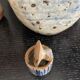 Duo of stoneware boxes