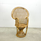 Peacock chair for kids