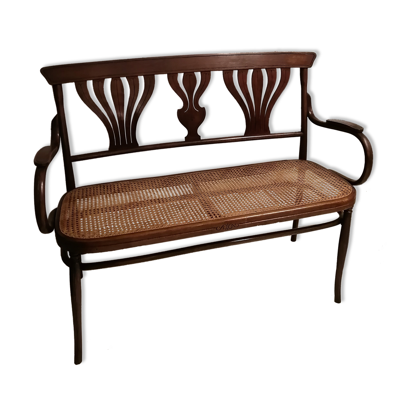 Bent wood bench