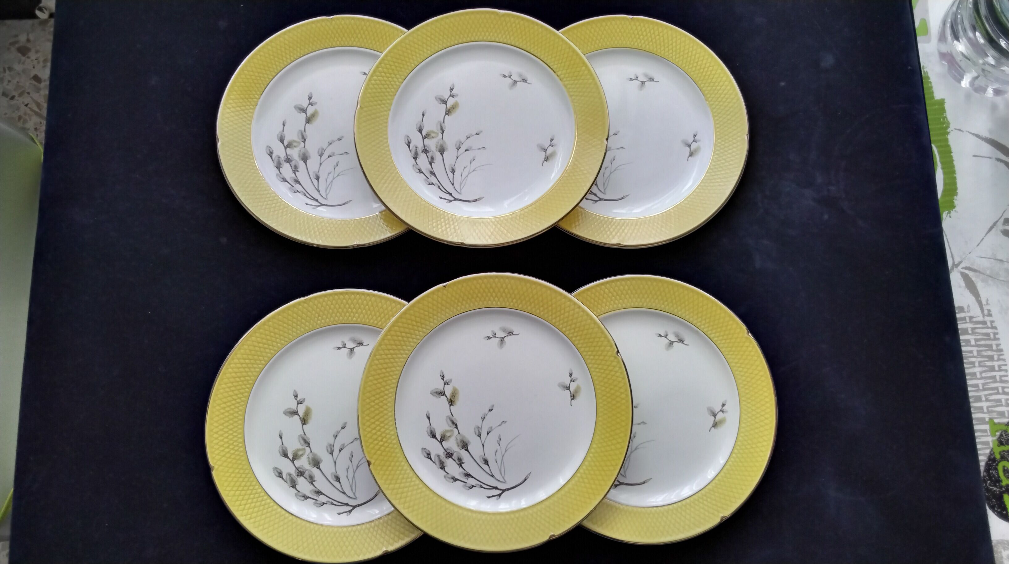 Set of 6 dessert plates Salins France
