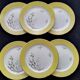 Set of 6 dessert plates Salins France