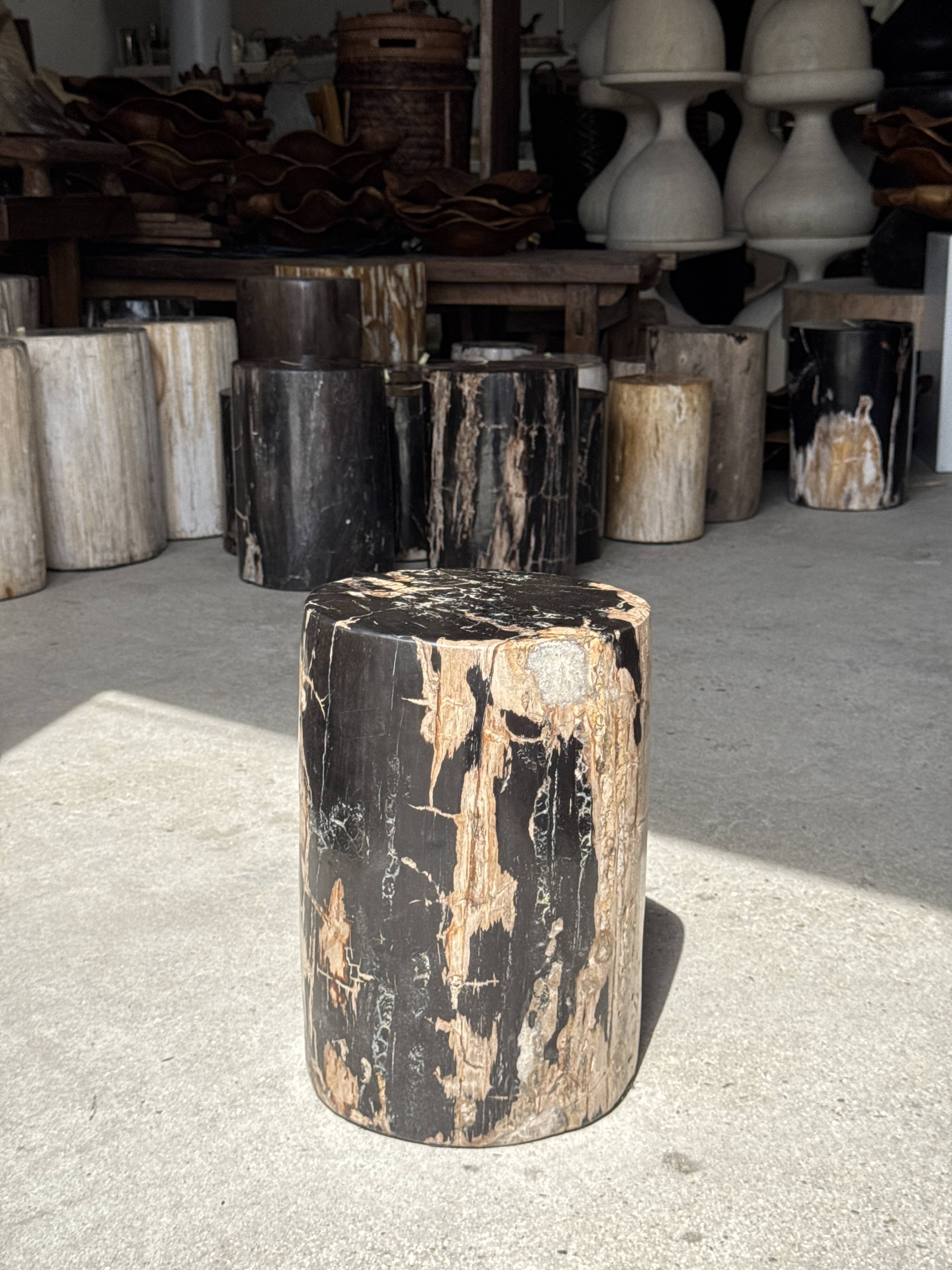 Black petrified wood side table with beige side H35 D24 - 3352