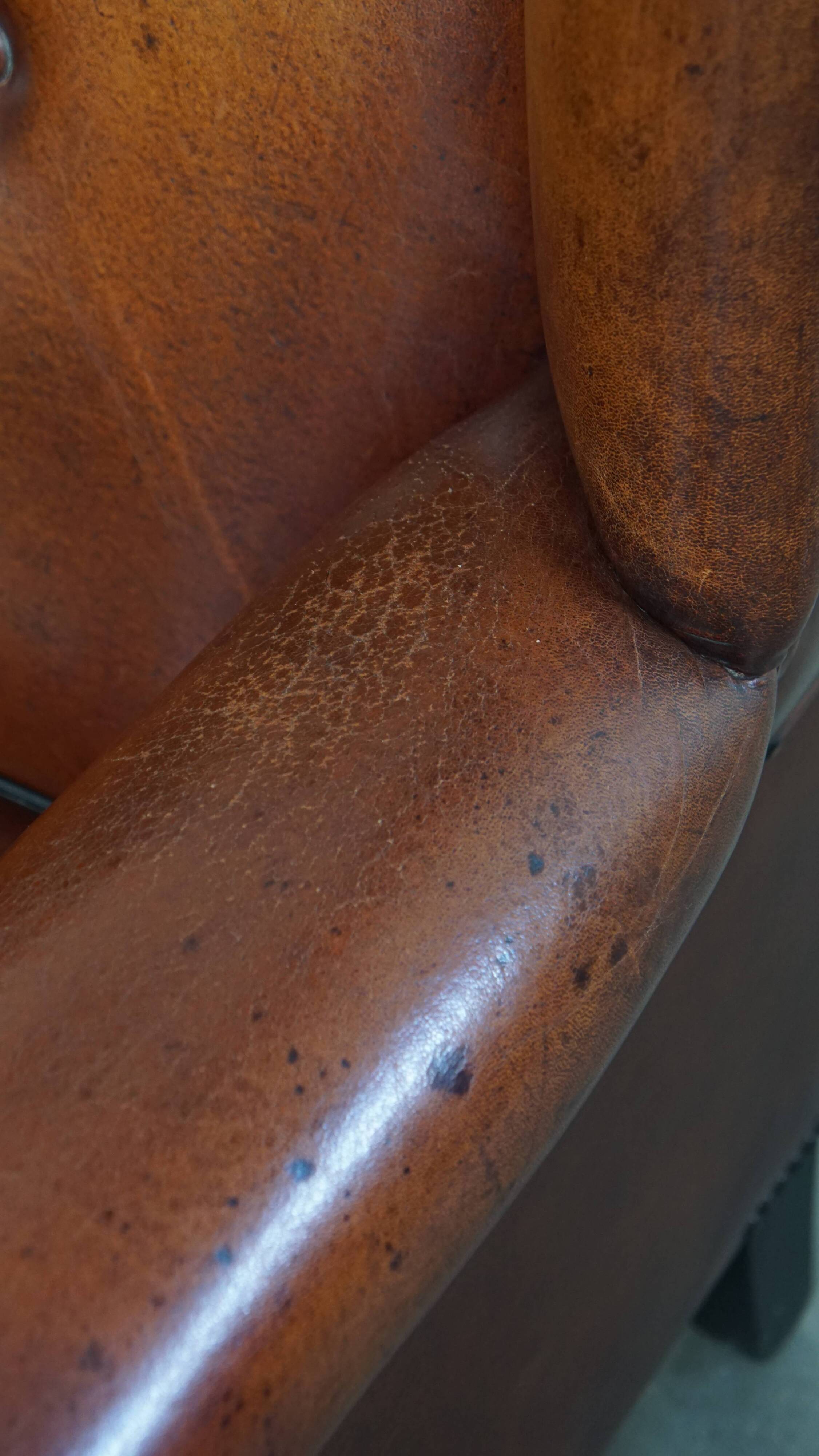 Sheepskin Wingback Chair with Warm Tones and Black Piping