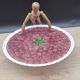 Raspberry slushie cake dish