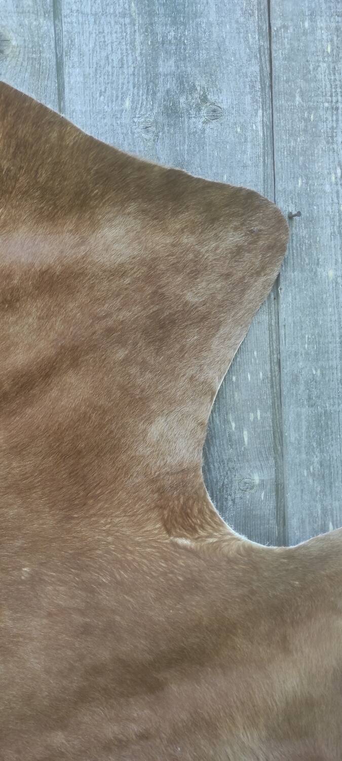 Cowhide XL