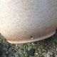 Vase from West Germany in degraded beige & brown