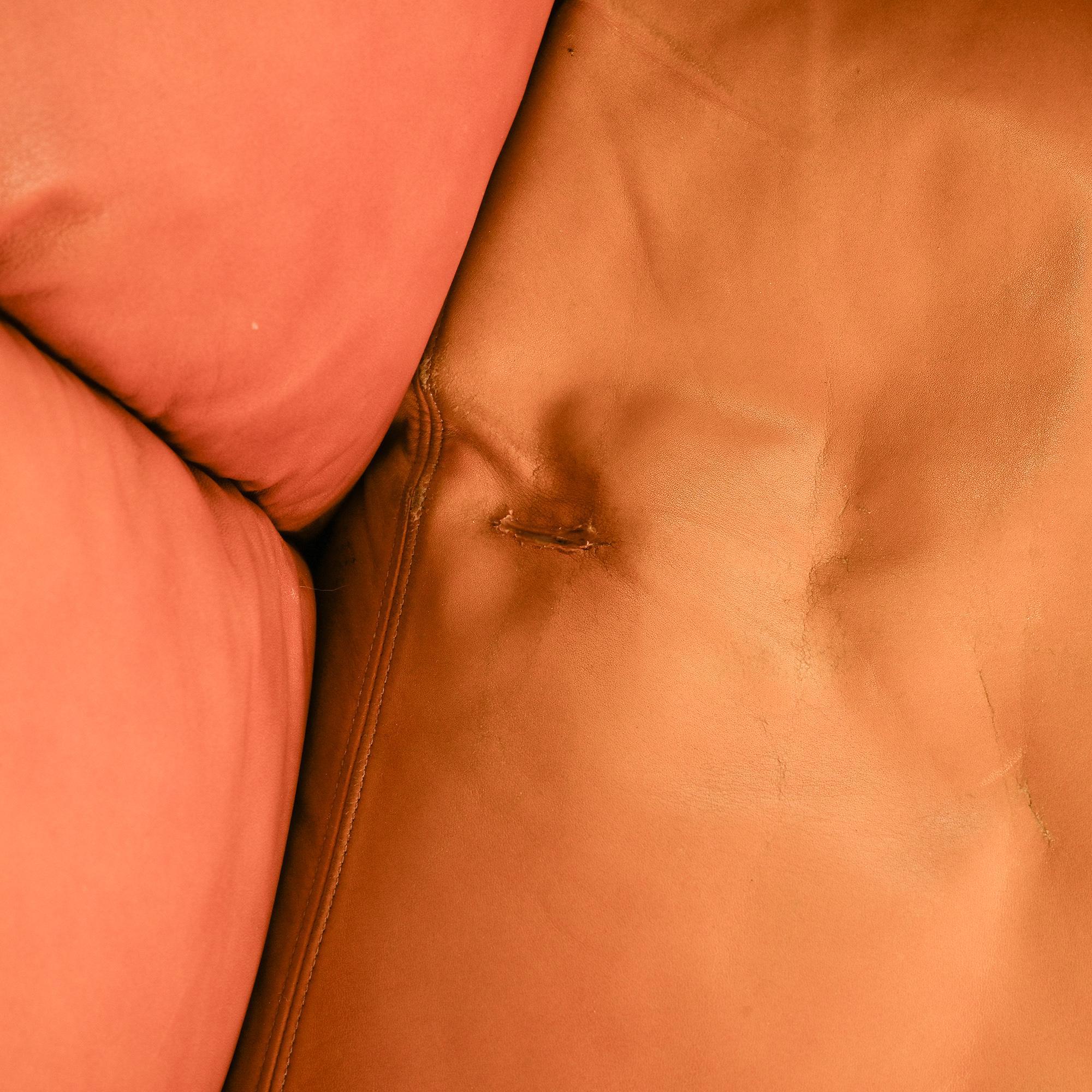 Cocker leather sofa, Bresciani, Poltrona Frau, around 1975